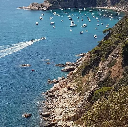 Salions Апартаменты