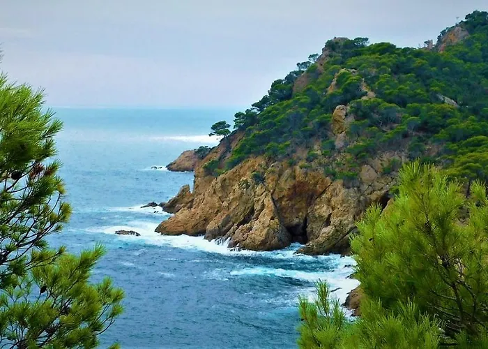 Salions Апартаменты Тосса-де-Мар